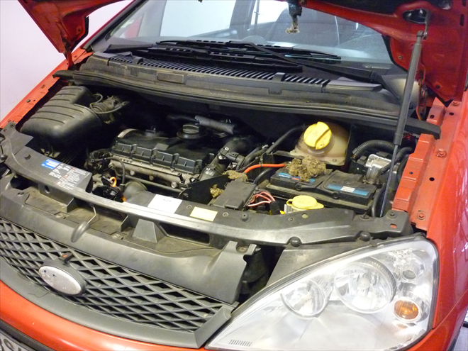 Ford Galaxy s motorem VW AUY