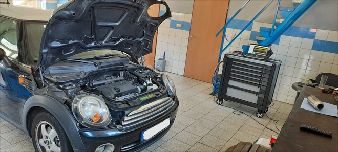 MINI ONE - "Kříženeček" i když radši bez zdrobnělin "kříženec"...