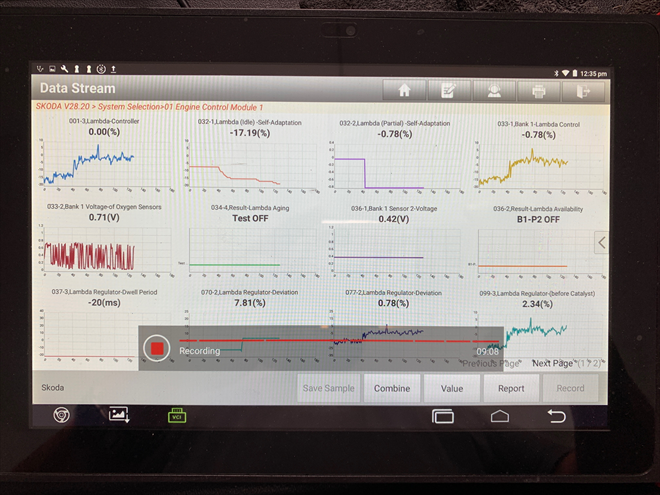 The "rich" idle mixture fault persists