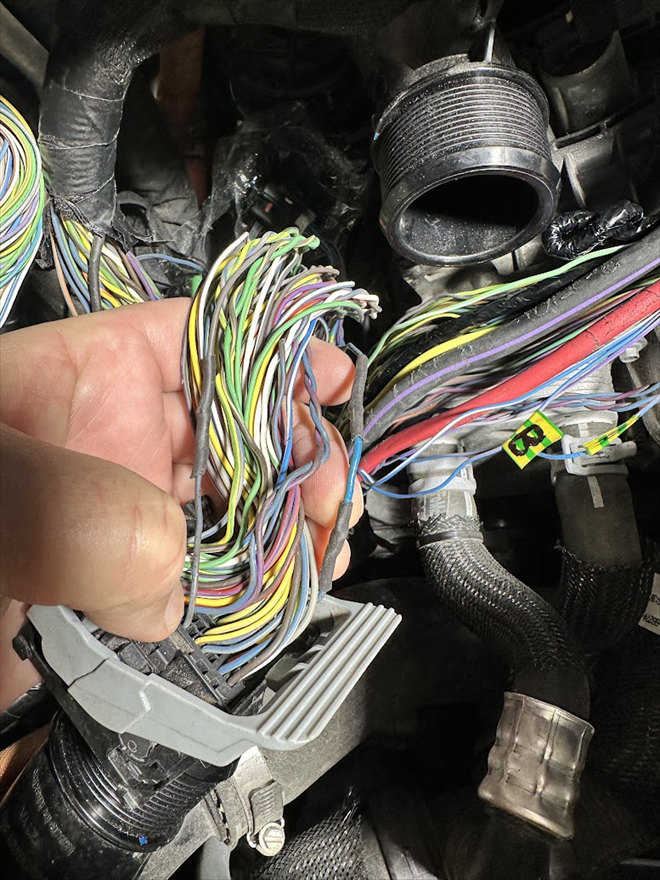 Takových spojů je tam více (asi tu byla kuna)